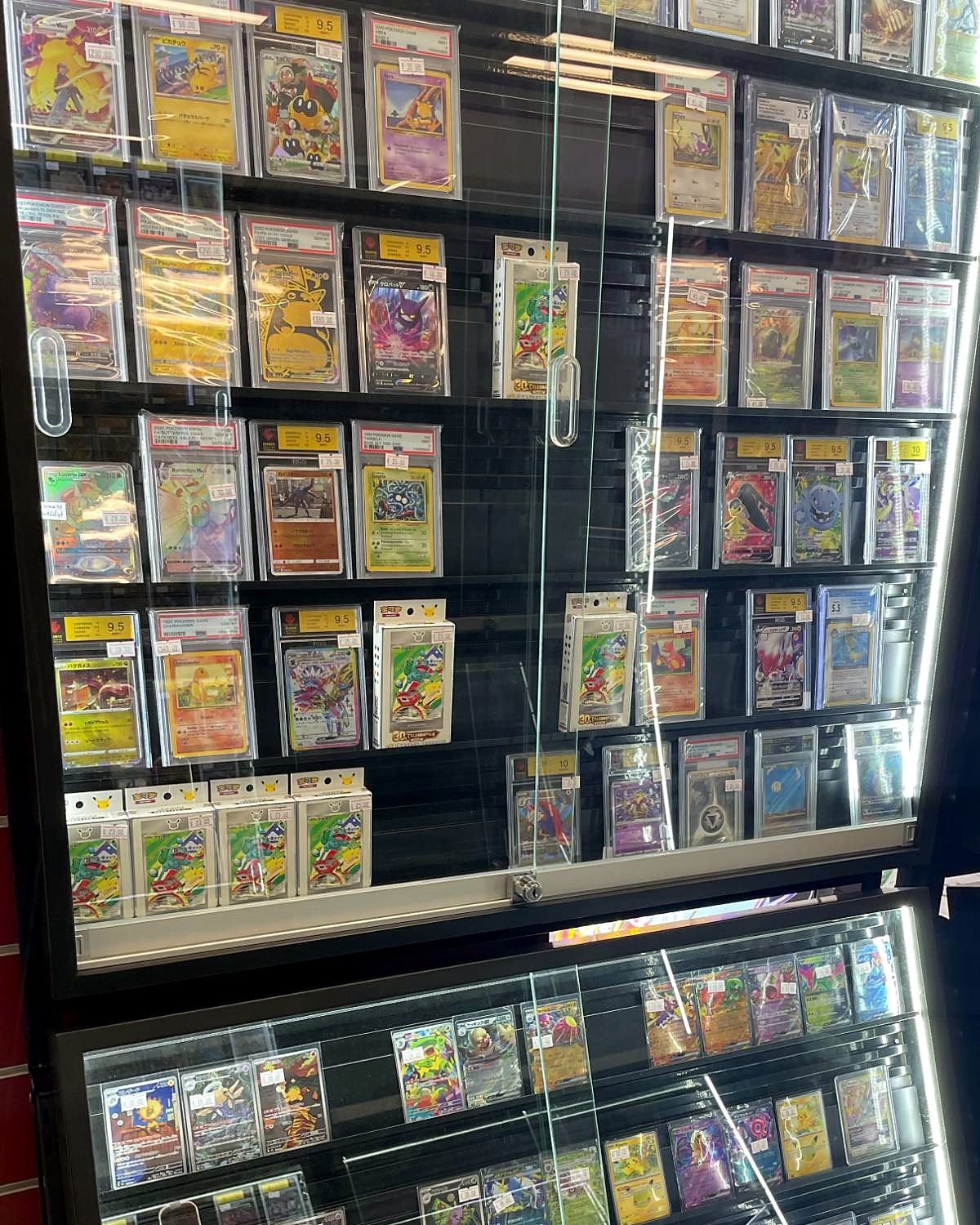 PSA-gegradete Pokémon-Karten in der Vitrine